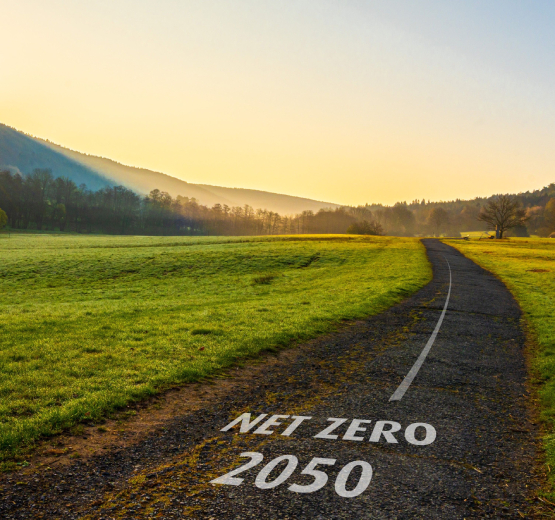 Net-zero carbon future